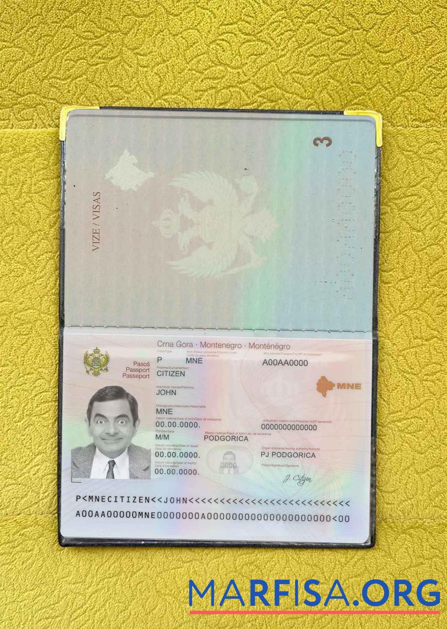 Realistic Montenegro passport photo look real example